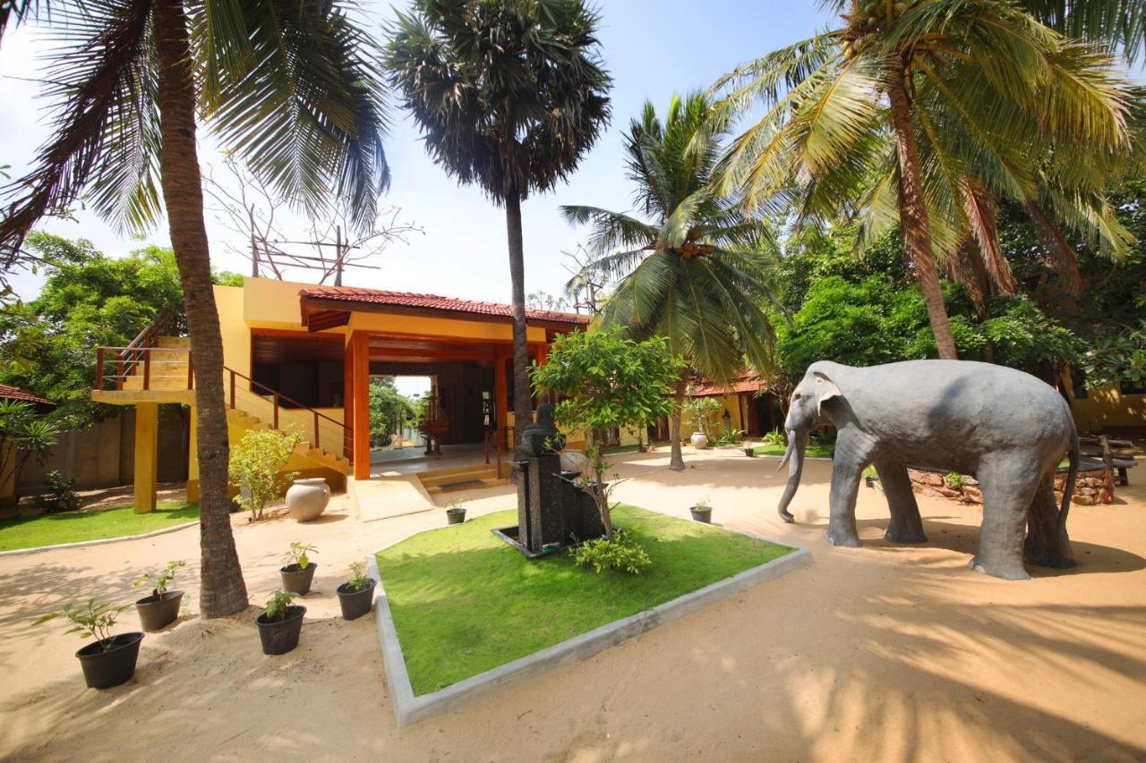 Horizon Kitesurfing Beach Resort คัลพิทิยา ภายนอก รูปภาพ