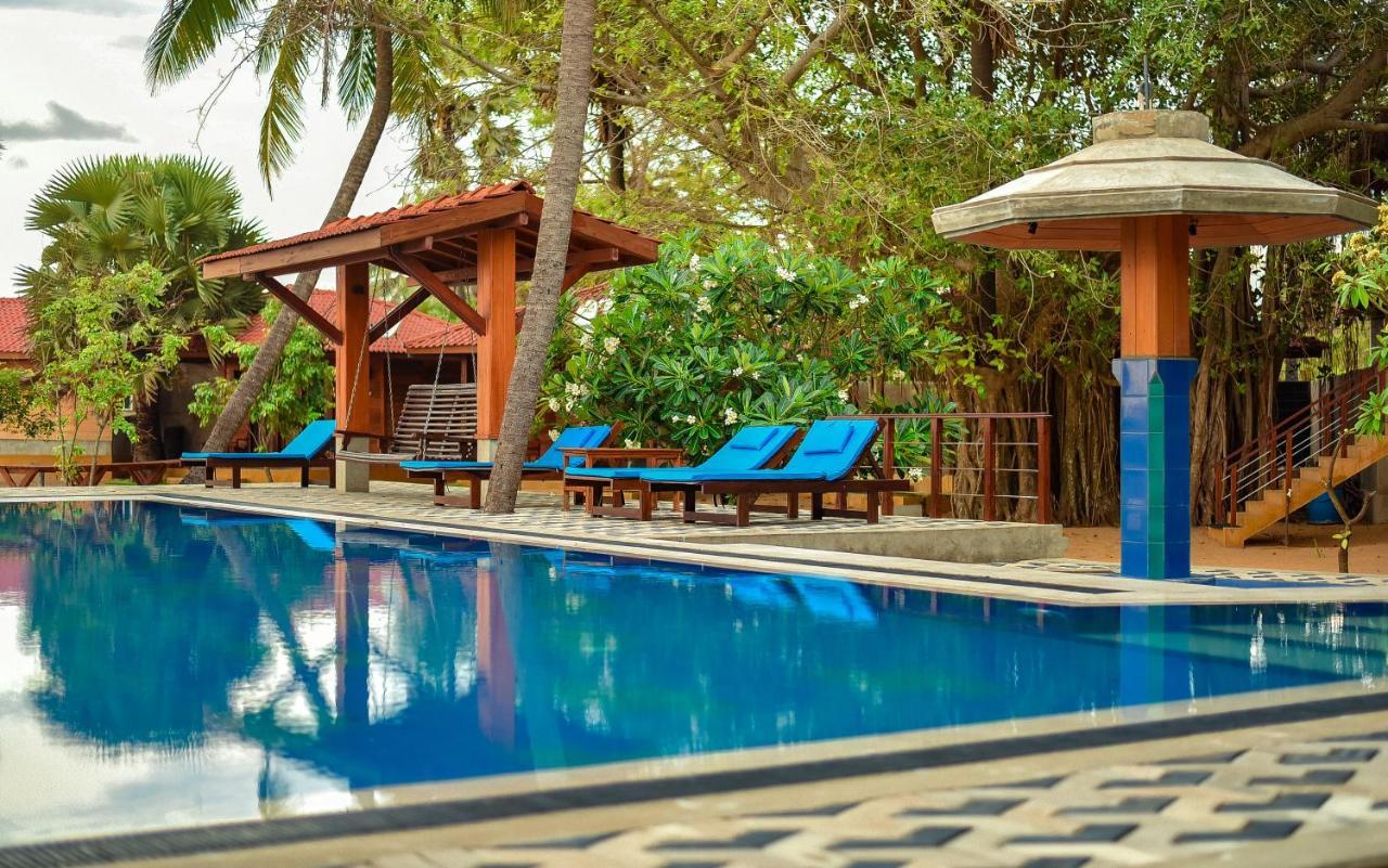 Horizon Kitesurfing Beach Resort คัลพิทิยา ภายนอก รูปภาพ